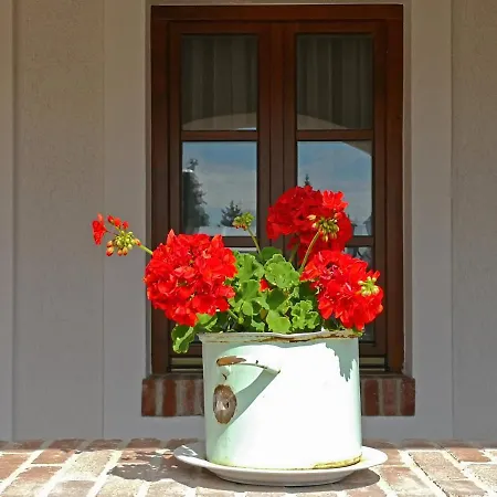 Pensión Margareta Panzio Horvátzsidány