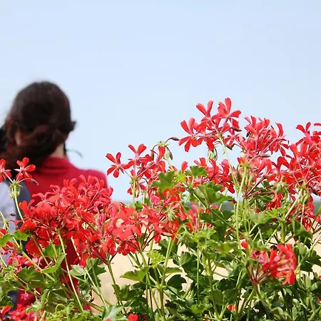 Margareta Panzio Horvátzsidány